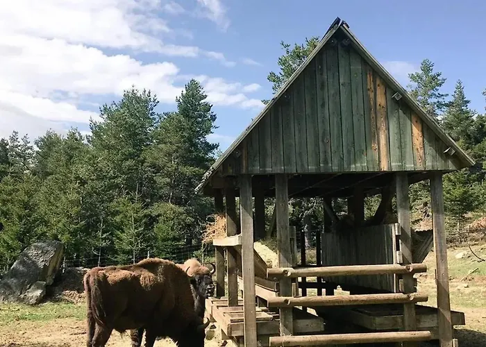 Maison Accueillante A Landos, 55 M², Cheminee Landos