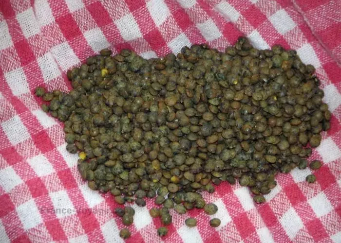 Maison Accueillante A Landos, 55 M², Cheminee Holiday home Landos